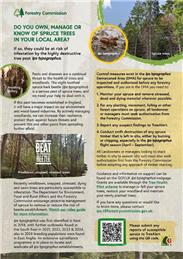 Forestry Commission -  Invasive Spruce Bark Beetle Awareness